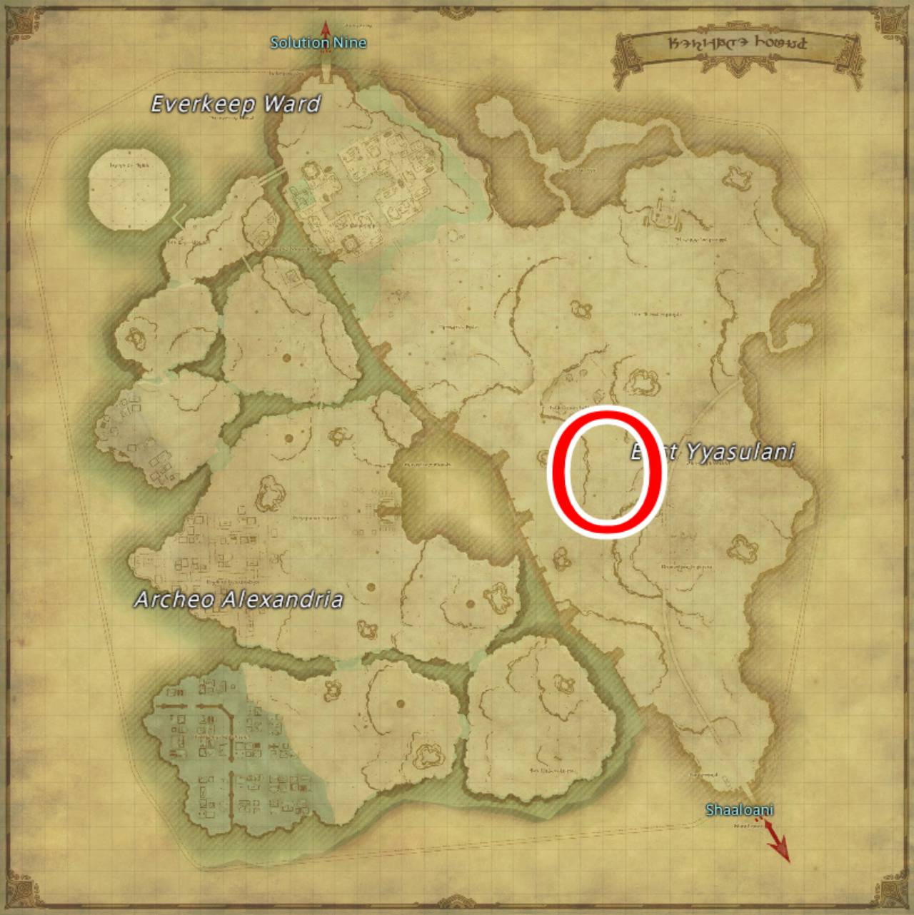 Ffxiv Dawntrail Cauahealoa Location