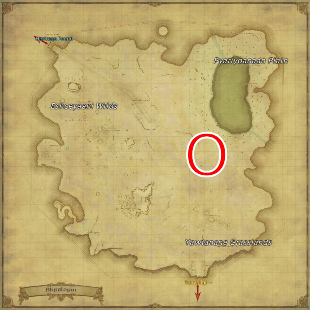 Ffxiv Dawntrail Flying Popoto Location