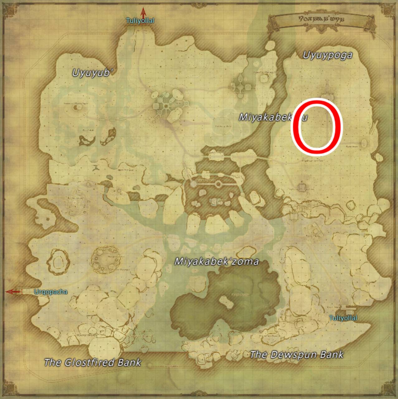 Ffxiv Dawntrail Ocelot Location