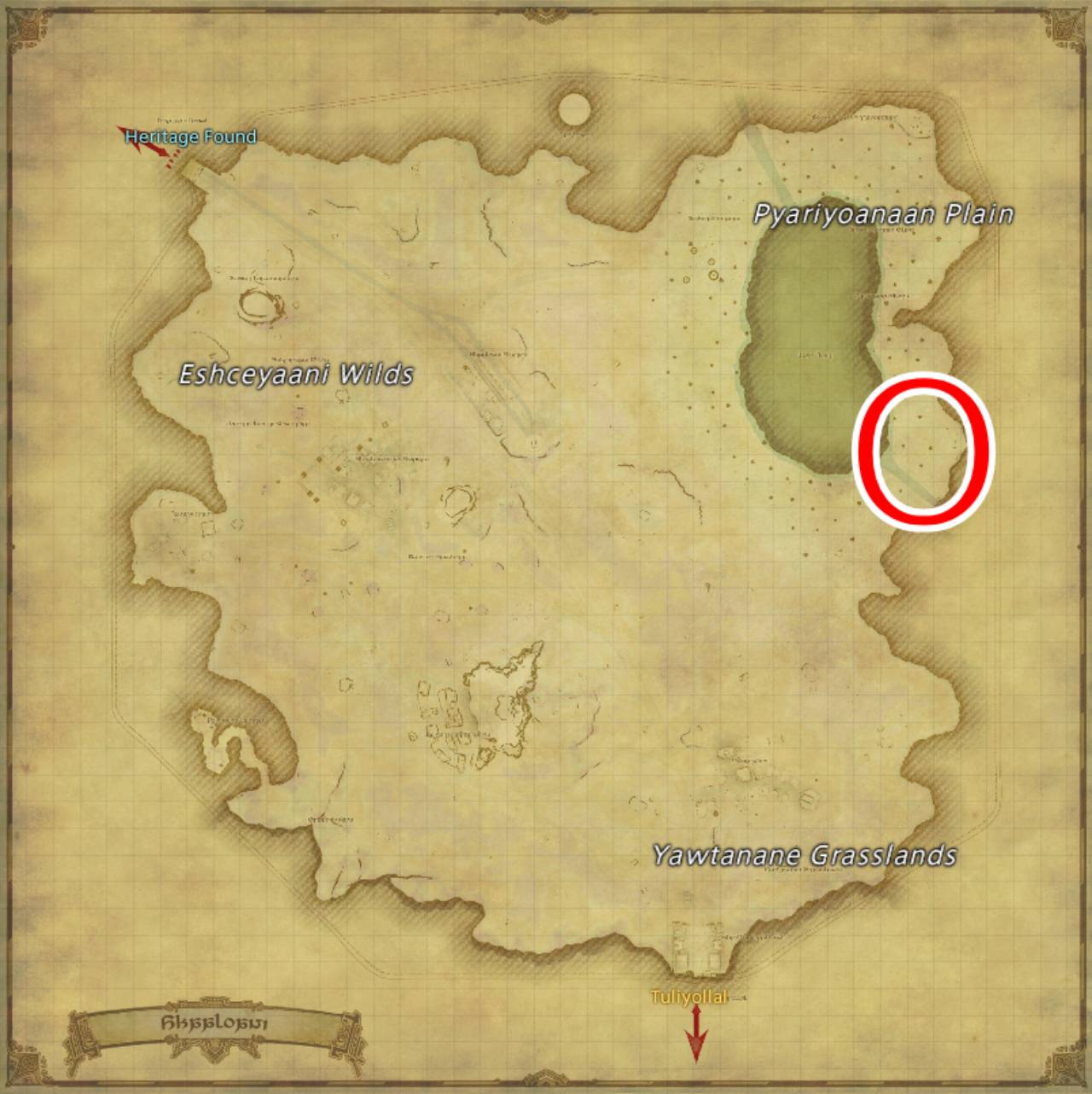 Ffxiv Dawntrail Toari Alligator Location